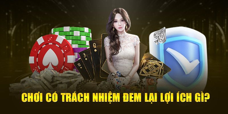 Hệ thống hiển thị lịch sử giao dịch cá cược minh bạch tại iBet giúp người dùng tự đánh giá thói quen cá cược