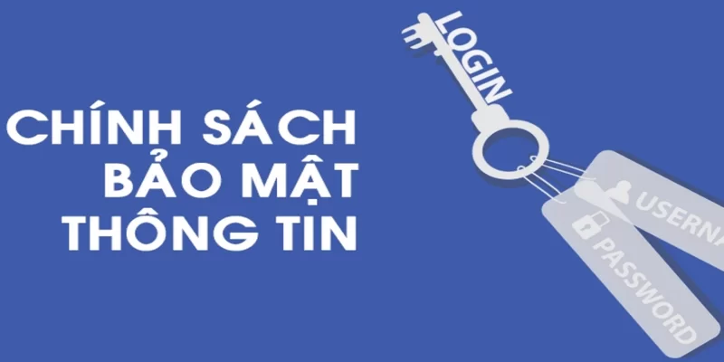 Mô tả cookie và công nghệ theo dõi người dùng được sử dụng tại iBet